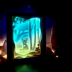 Renard au clair de lune