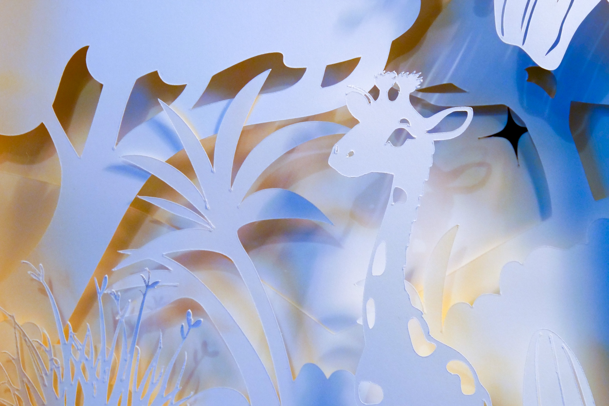 La girafe lumineuse – Image 5