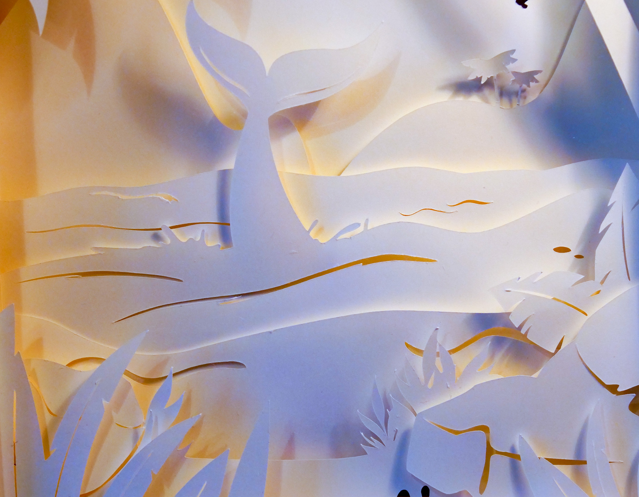 Le lagon des rêves bleus – Image 2