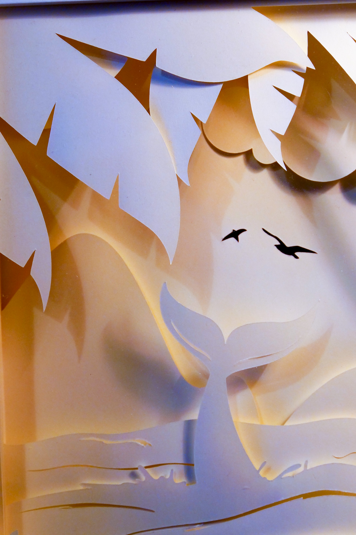 Le lagon des rêves bleus – Image 3