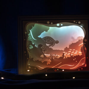 La tortue des mers calmes